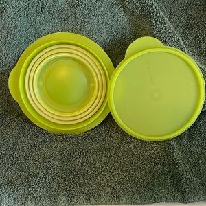 Tupperware Expandable Bowl